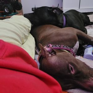 Meet your Posher, Jayson